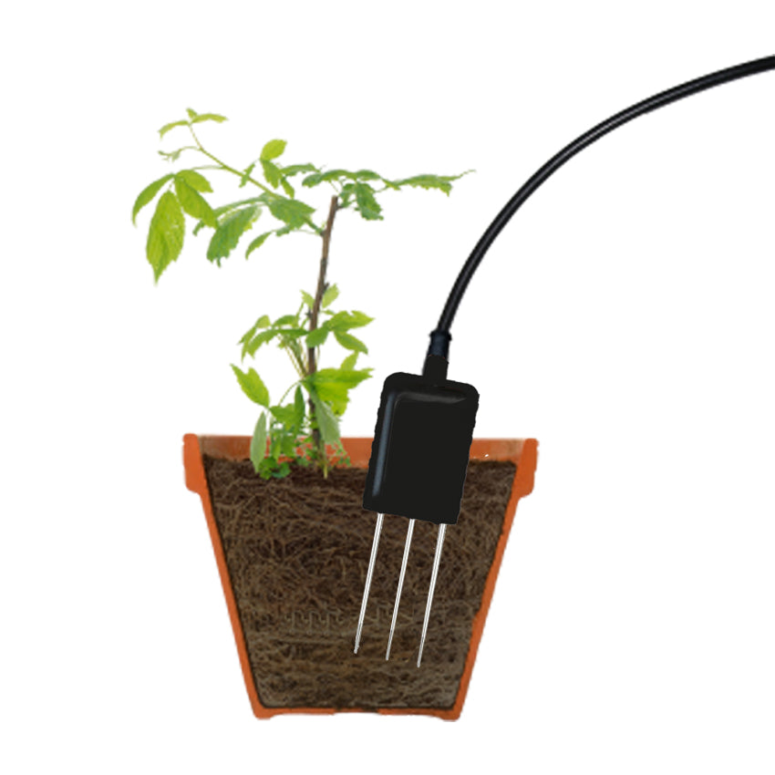 Soil Temperature and Moisture Sensor